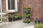 green basics stack & grow large blad groen